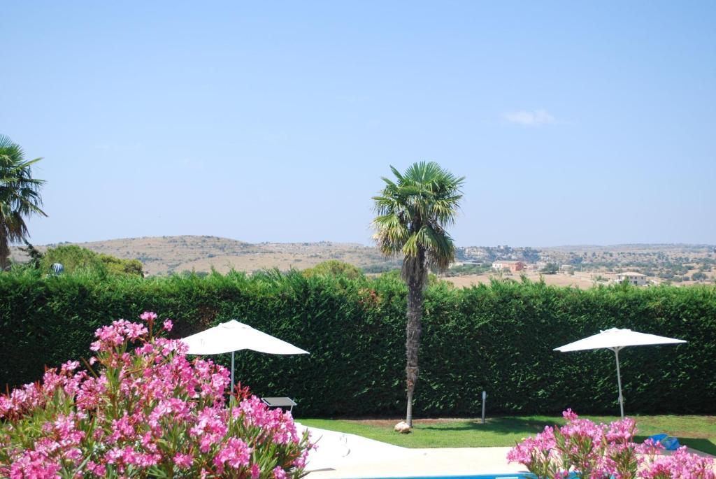 Villa Teresa San Corrado di Fuori Екстериор снимка